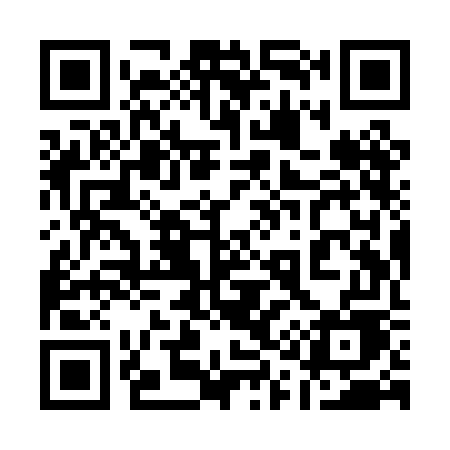 QR code for 119PGE