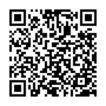 QR code for 133ZOW