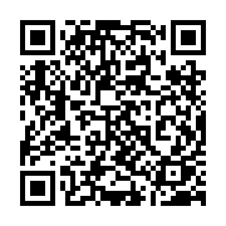 QR code for 141SAP