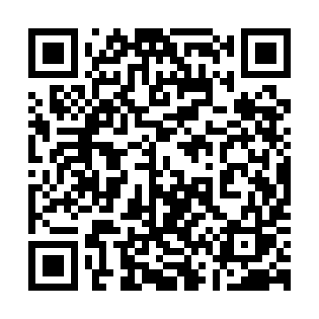 QR code for 161QIS
