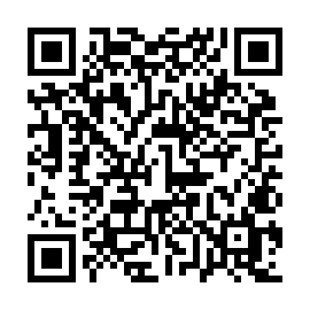 QR code for 161ZML