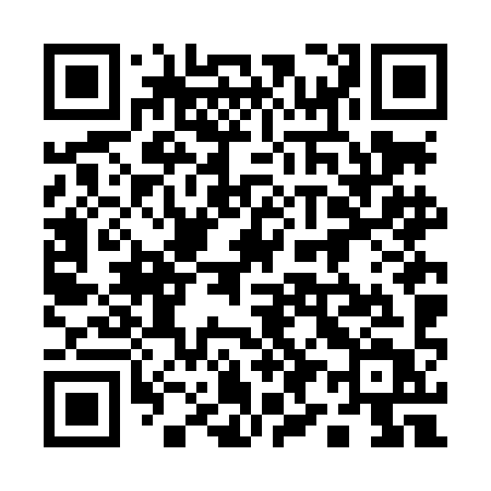 QR code for 196LIT