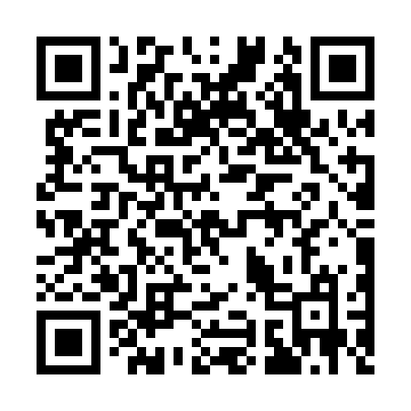 QR code for 196PBM