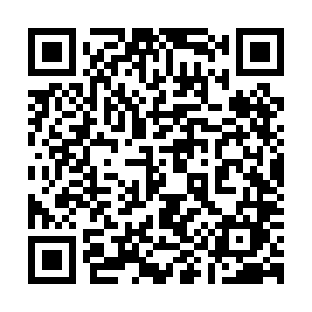 QR code for 196PLM