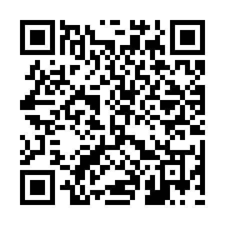 QR code for 200CEO