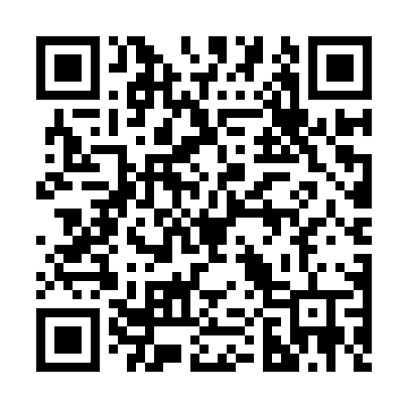 QR code for 205IPV