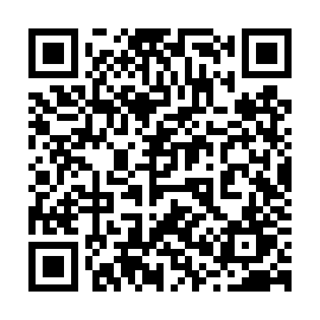 QR code for 206TZT