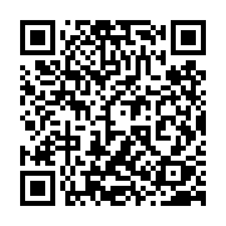 QR code for 207TSX