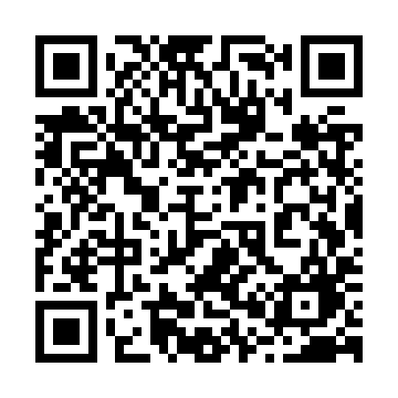 QR code for 207ZYG