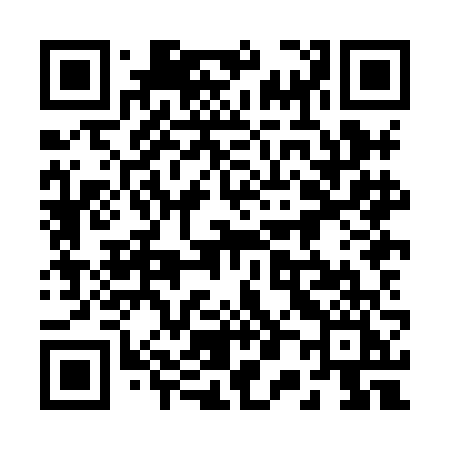 QR code for 208HFI