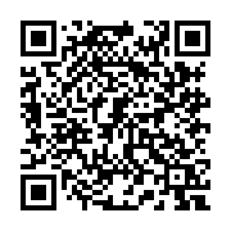 QR code for 208HGS