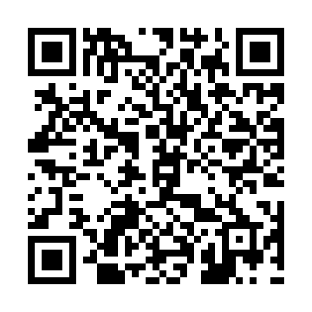 QR code for 208IPP