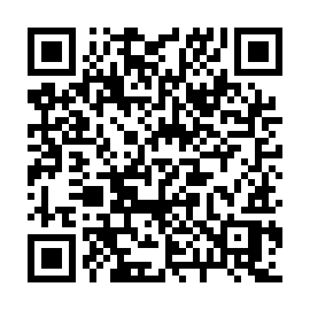 QR code for 209AIR
