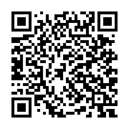 QR code for 216DMC