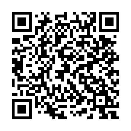 QR code for 217DPM