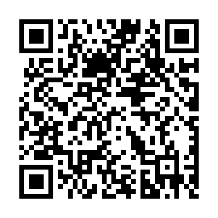 QR code for 217IVO