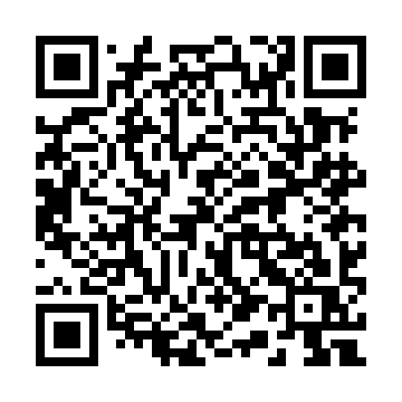 QR code for 217MIS