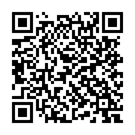QR code for 217MPM