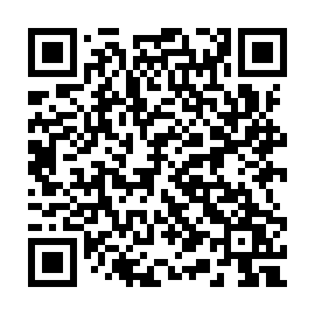 QR code for 219IPW