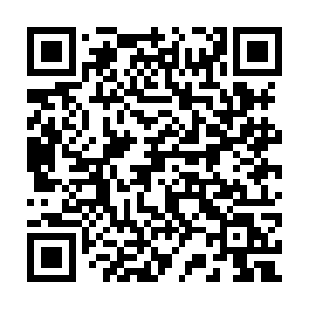 QR code for 221HOL