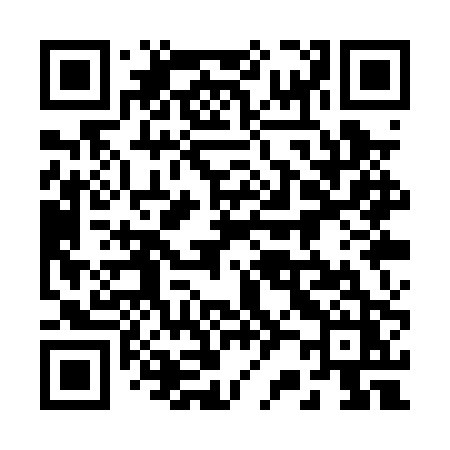QR code for 221PPZ
