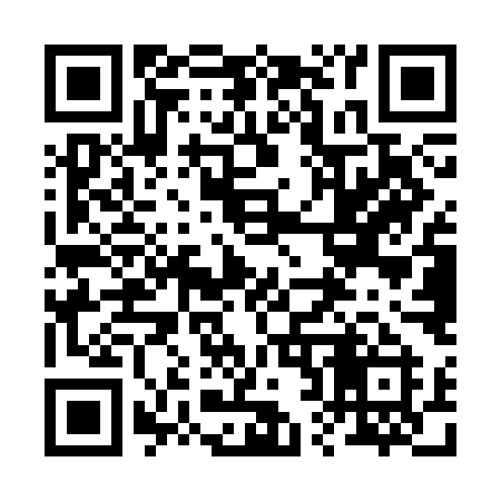 QR code for 225SMI