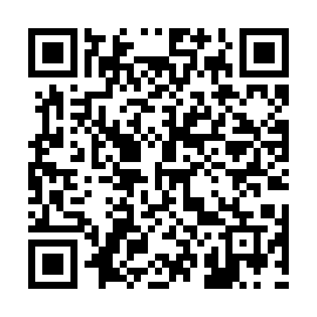 QR code for 228BAU