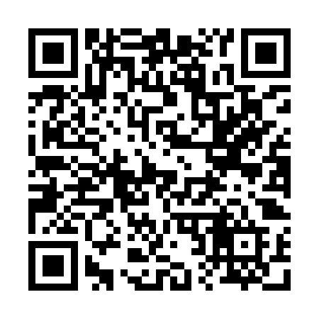 QR code for 228IZD