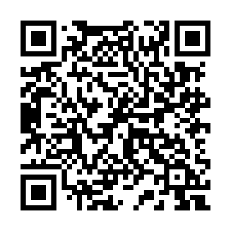 QR code for 228MAF