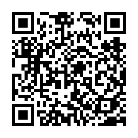 QR code for 228VAI