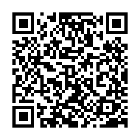 QR code for 233PNX