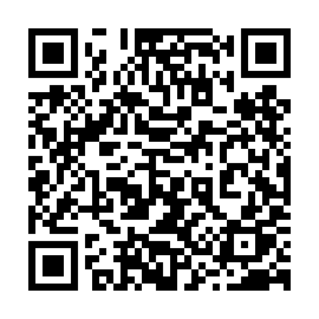 QR code for 234DIP