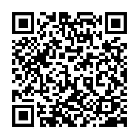 QR code for 236MSP