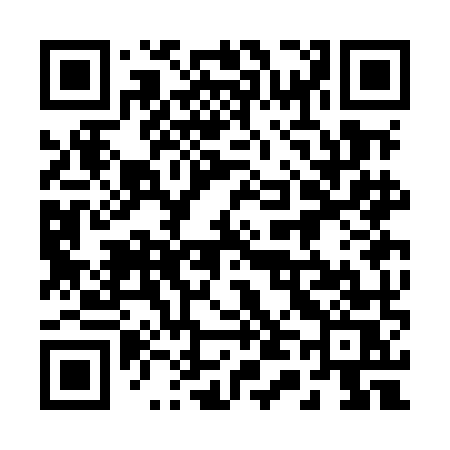 QR code for 243MMS