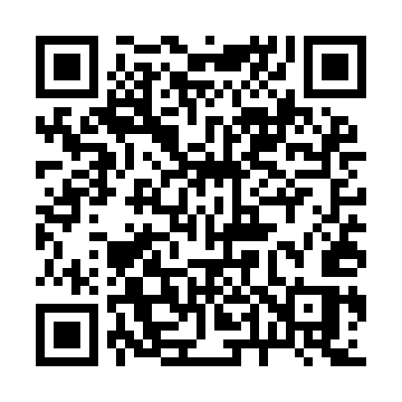 QR code for 245YES