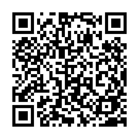 QR code for 249PIE