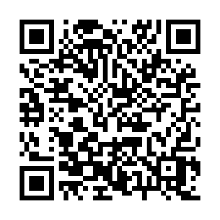QR code for 250MAV
