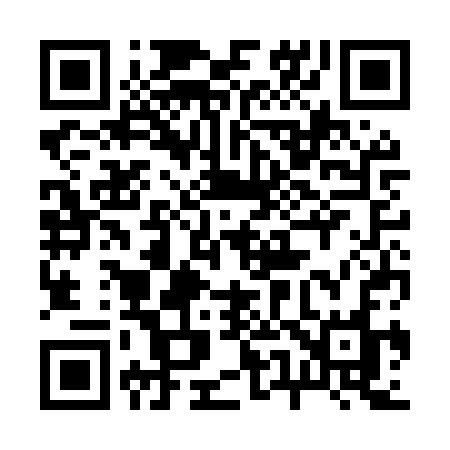 QR code for 253MSO
