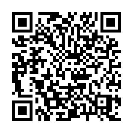 QR code for 256ICQ