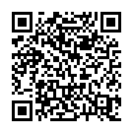 QR code for 271MSA