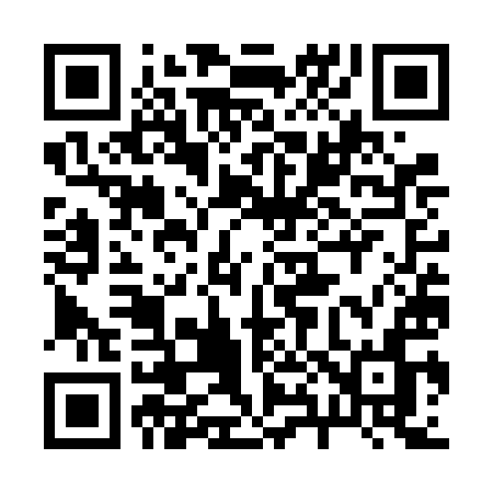 QR code for 287VIN