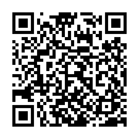 QR code for 289DZS