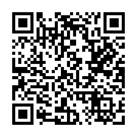 QR code for 290CCS