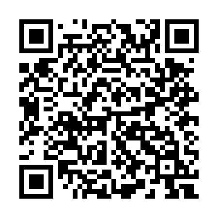 QR code for 290DQN