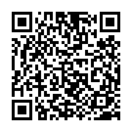 QR code for 290DVP