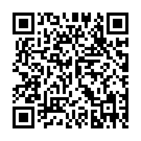 QR code for 290IPI