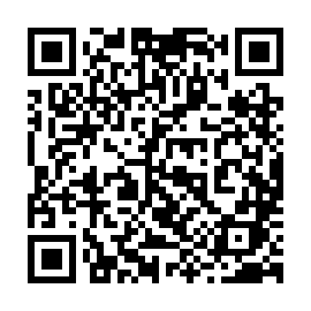 QR code for 290SLH