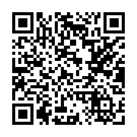 QR code for 290XRT