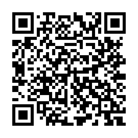 QR code for 290XVE