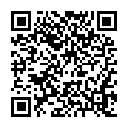 QR code for 290YUN